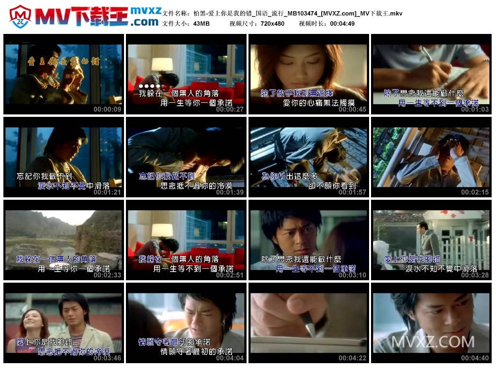 怕黑-爱上你是我的错_国语_流行_MB103474